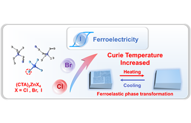 Organic-inorganic zinc halide multiferroic designed by tetrahedral halogen engineering 2026.100937